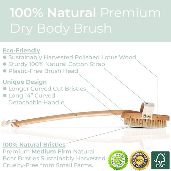 VITALY ZEN ME Other - cepillo exfoliante con cerdas naturales de firmeza media para celulitis y linfát